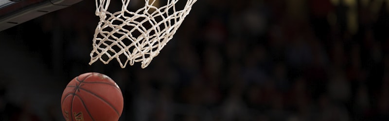 NBA美国职业篮球联赛标志